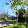 L'Olivereta, the last affordable neighbourhood in central Valencia?