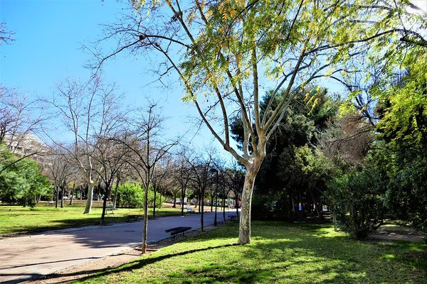 L'Olivereta, the last affordable neighbourhood in central Valencia?